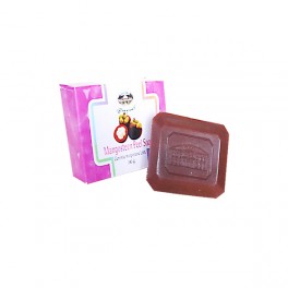 https://www.chinesemedicine-th.com/278-thickbox_default/mangosteen-peel-soap-100-g.jpg